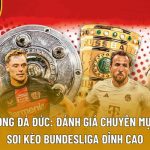 Bóng Đá Đức: Đánh giá chuyên mục soi kèo Bundesliga đỉnh cao