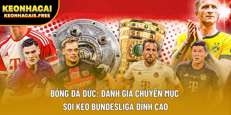 Bóng Đá Đức: Đánh giá chuyên mục soi kèo Bundesliga đỉnh cao