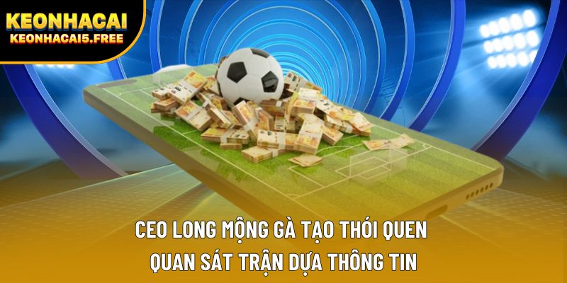 CEO Long Mộng Gà tạo thói quen quan sát trận dựa thông tin