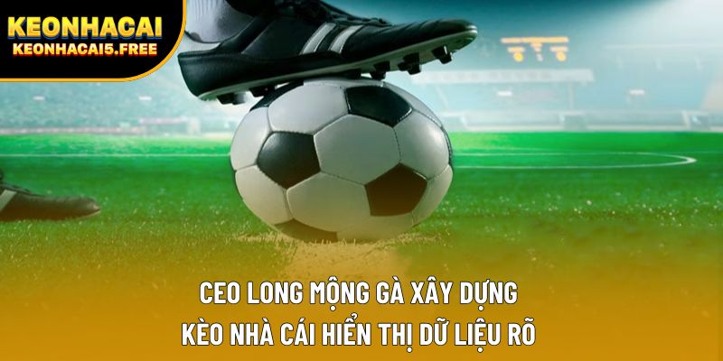 CEO Long Mộng Gà xây dựng Kèo Nhà Cái hiển thị dữ liệu rõ