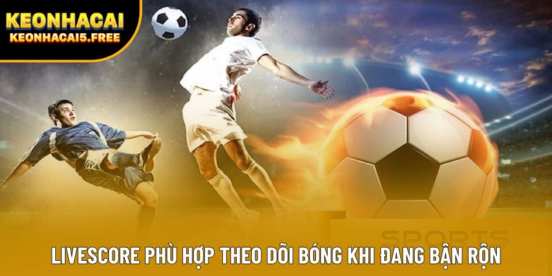 Livescore phù hợp theo dõi bóng khi đang bận rộn