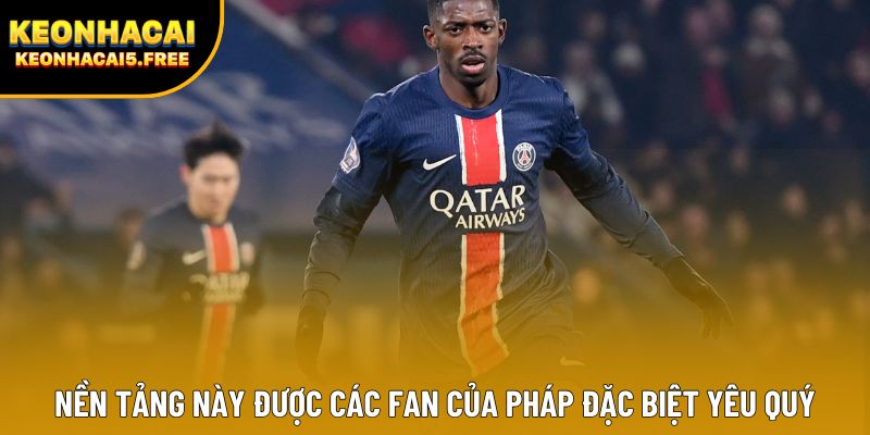 Nền tảng này được các fan của Pháp đặc biệt yêu quý